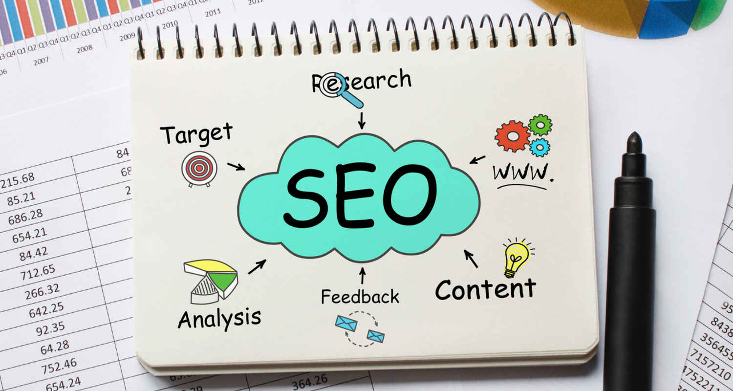 seo expections plan